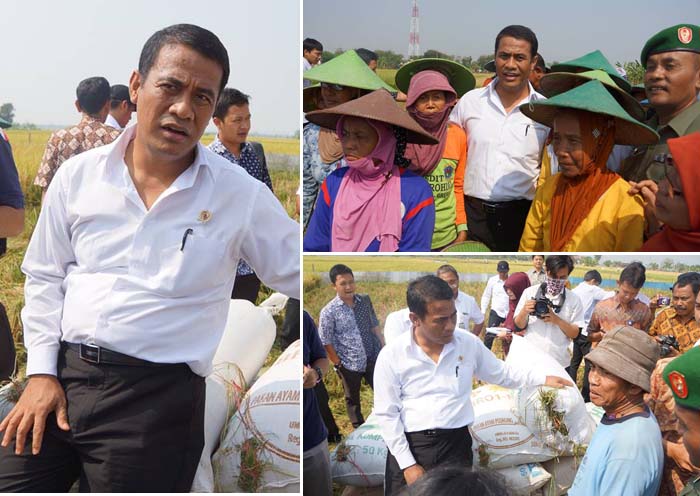 Bakti Sosial a la Mentan, dari Gaji Menteri untuk Buruh Tani Tuban